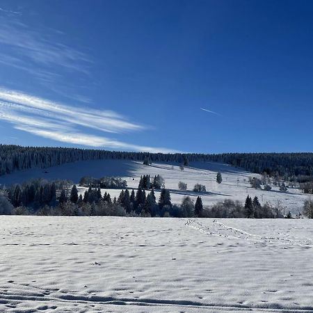 Apartman Nove Hute Sumava Nové Hute Exterior foto